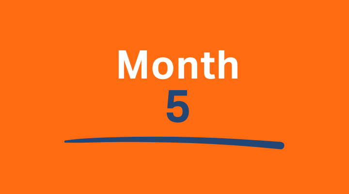 Creators & Influencers